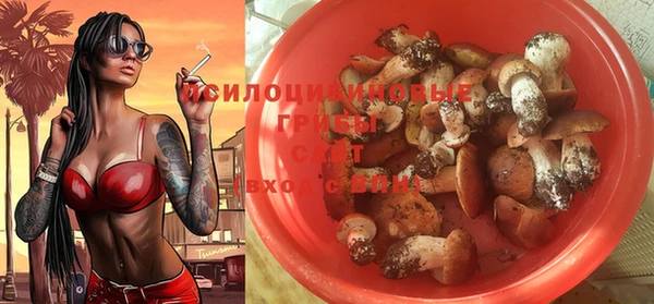 трава Семилуки