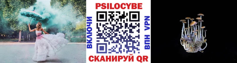 Псилоцибиновые грибы Psilocybine cubensis Торжок